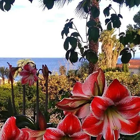 Santa Clara