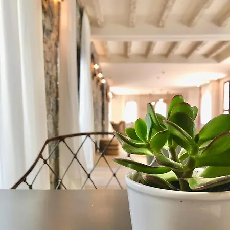 Hotel Abaco