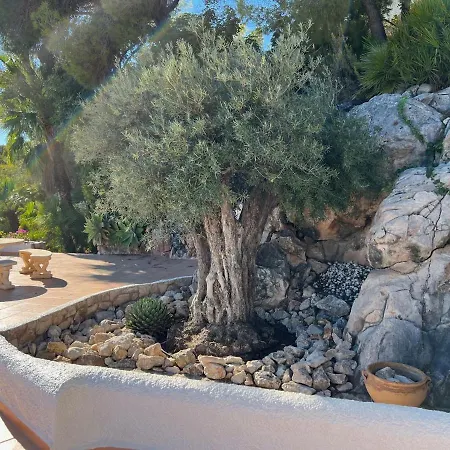 Blanca * Altea