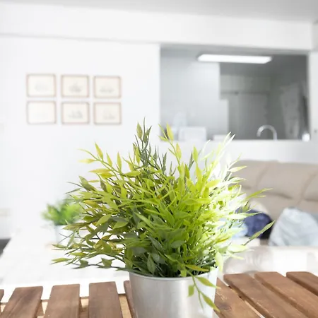Apartamento Primera Línea Con Vistas Del Mar, Montañas Y Puerto *
