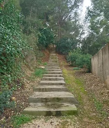 50 M To Comfie And Functional Altea