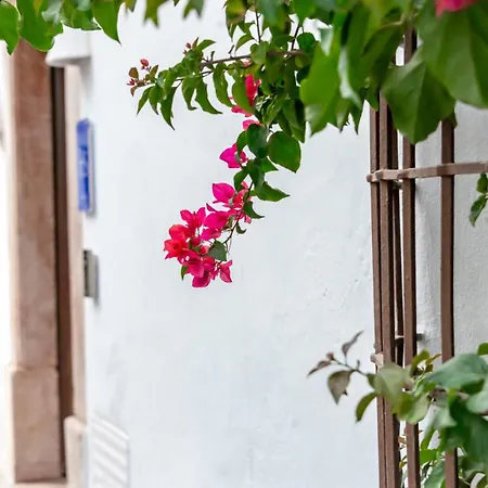 Maison Salva - Boutique Hotel *