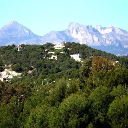 Gadea * Altea
