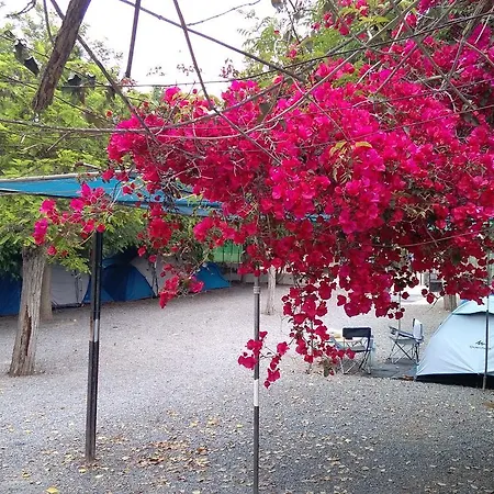 Camping Santa Clara *