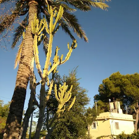 Santa Clara Altea