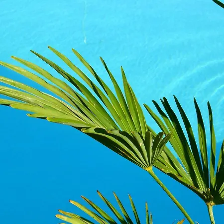Guesthouse Villa Altea * Altea