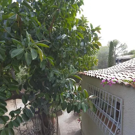 Pinos Altea