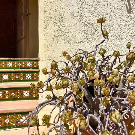 Villa De Estilo Espanol Con Jardin Y Piscina