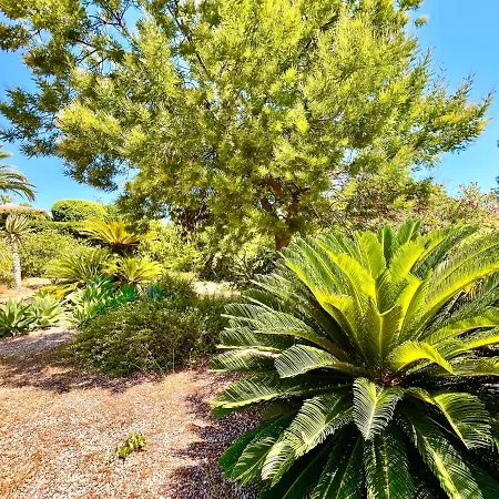 De Estilo Espanol Con Jardin Y Piscina Altea