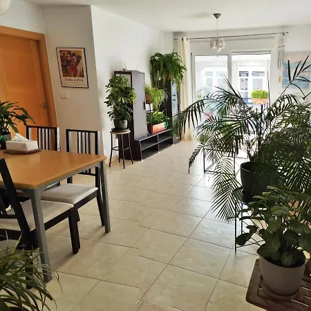 Apartamento Compartido Cerca De La Playa Con Bano Privado *