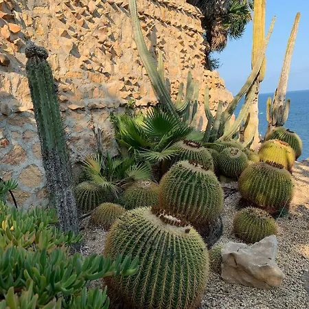 El Jardin Botánico Luz * Altea