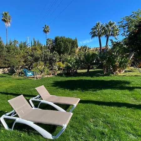 Paradise 1917 - Adults Only Altea