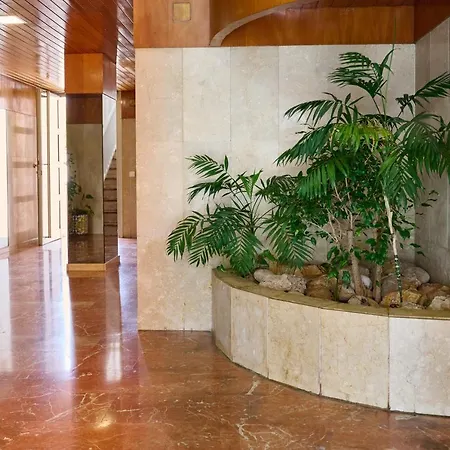 Piscina Playa Apartment