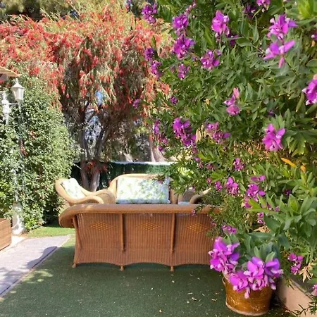 Benjamina Avec Piscine Climatisee *
