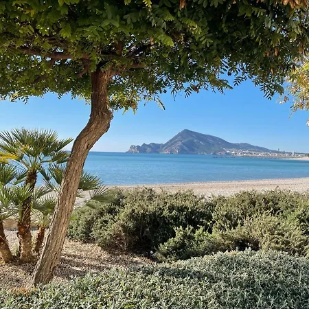 Casa Ariana, Casco Antiguo, Terrazas Con Vistas Al Mar Holiday home