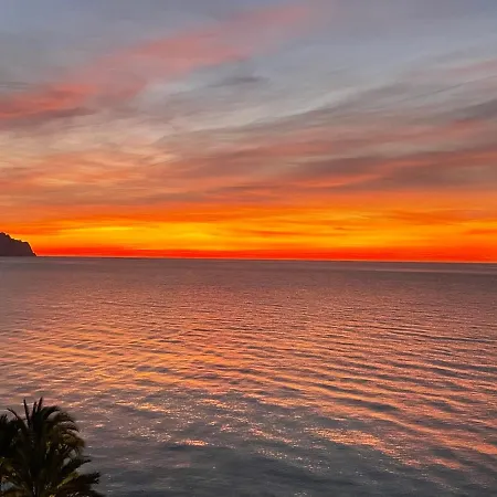 Avanoa - Marfil Altea