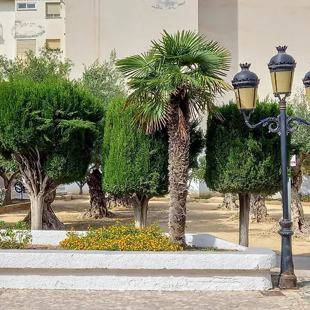 Olivos