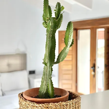 La Buhardilla