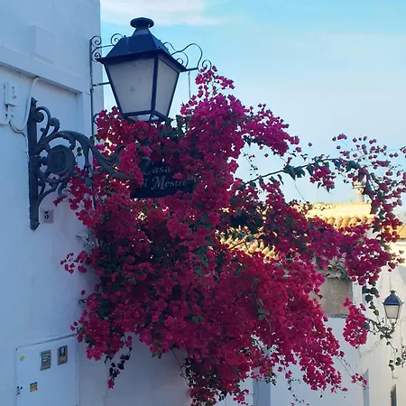 Apartment Piso Pepe Altea
