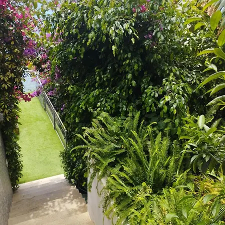 Condesa Del Mar Adults Only Aparthotel