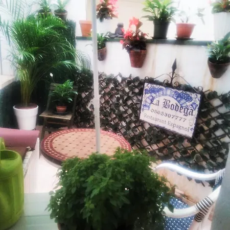 Alteamar 1 Bed & Breakfast *