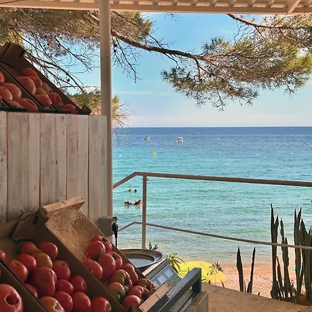 Luc Altea