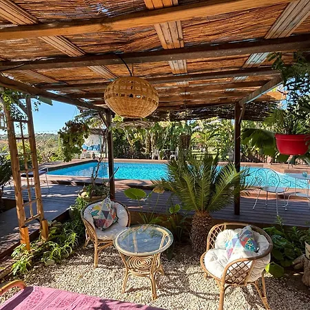 Paradise 1917 - Adults Only Altea