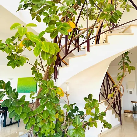 Villa Spacious In Hills *