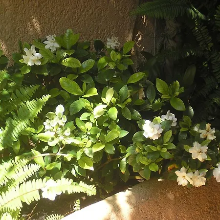 Holiday home Hills Casablanca 23