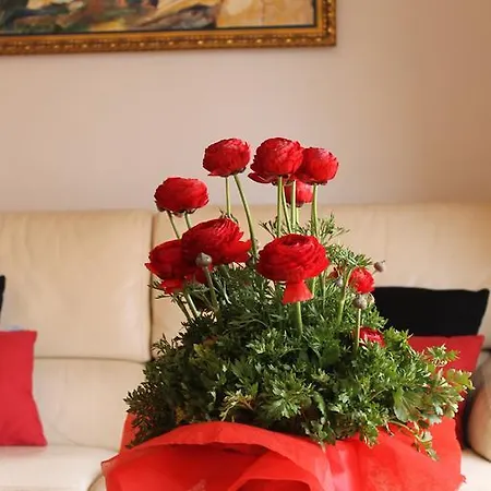 Holiday home Hills Casablanca 23 *