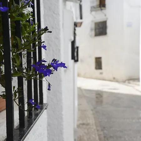 Samar Grupo Terra De Mar, Con Encanto * Altea