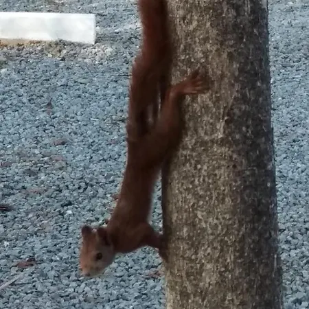 Santa Clara Campsite Altea