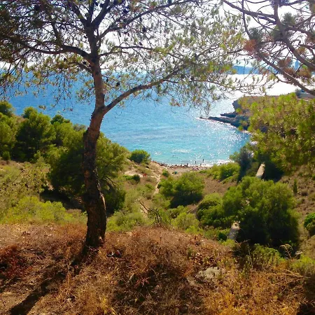 Guest house Guesthouse Villa Altea Altea