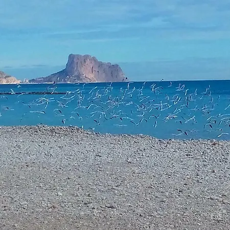 Shambhala * Altea