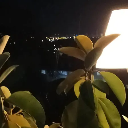 Casa Fleur Casco Antiguo Con Piscina Privada Y Jardin * Altea