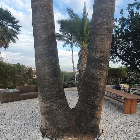 Elparaiso-altea 