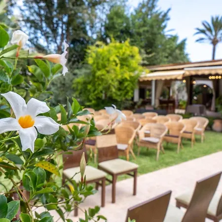 Hotel Tossal D'altea Altea