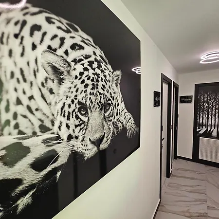 Guest house Luxury Nit I Dia Altea