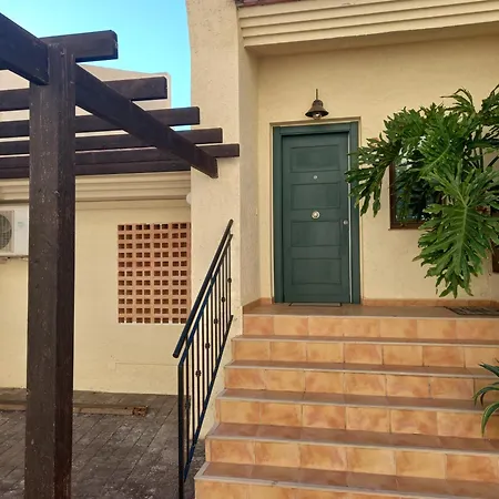 Olivos G