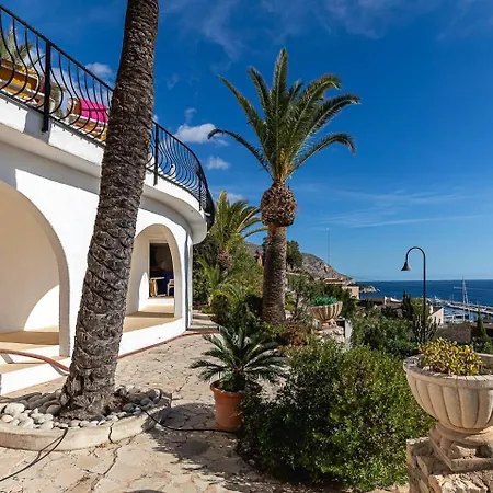 Campomanus * Altea