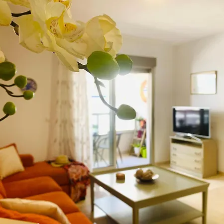 Casa Alicia By Delucaco Apartment *