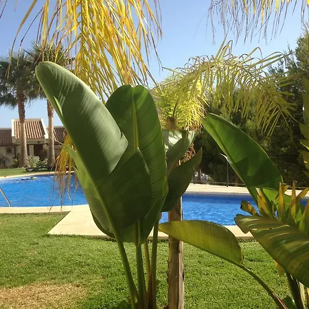 Townhouse Olivos M Altea