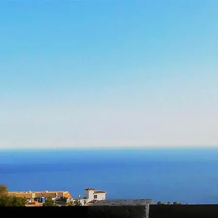 Olivos G * Altea