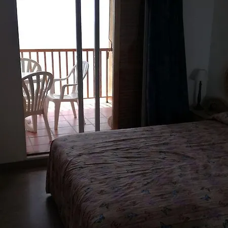 Palo Mayor Gavia * Altea